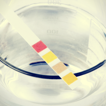 Everything to Know About Diluted Urine Drug Test Results