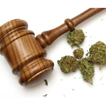 Employment Drug Testing And Marijuana Limitations