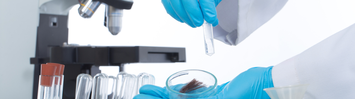 Lab technician holding hair sample