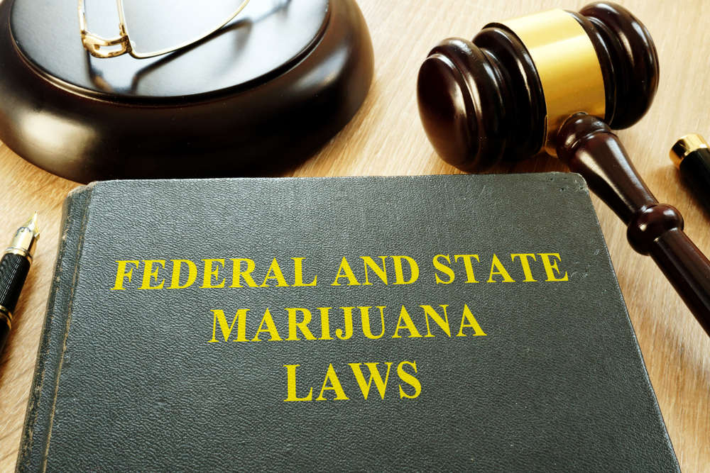 federal and state marijuana laws book with gavel