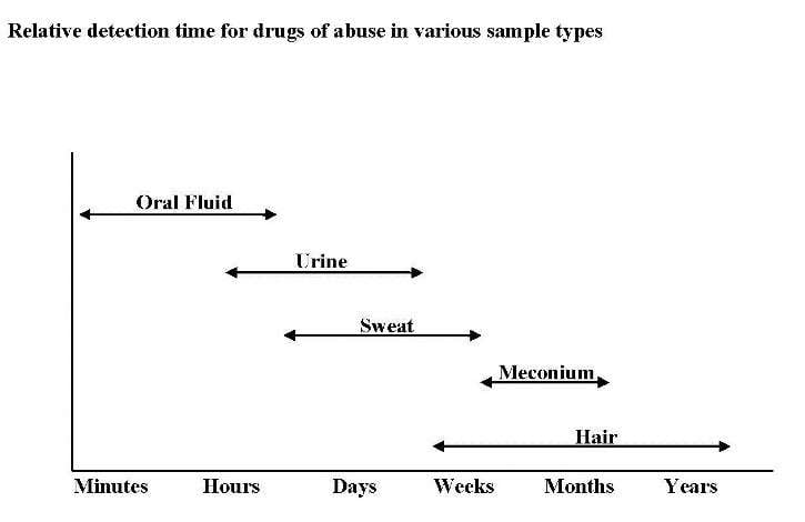 Hair Follicle Drug Test Chart