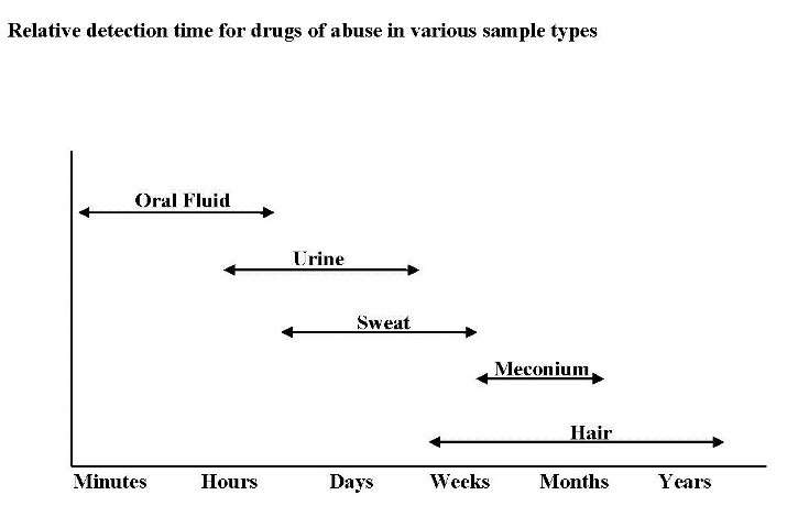 detection time of drugs in various sample types